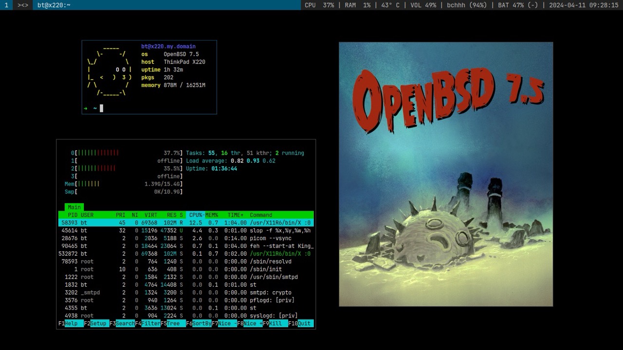 Screenshot of OpenBSD 7.5 running dwm